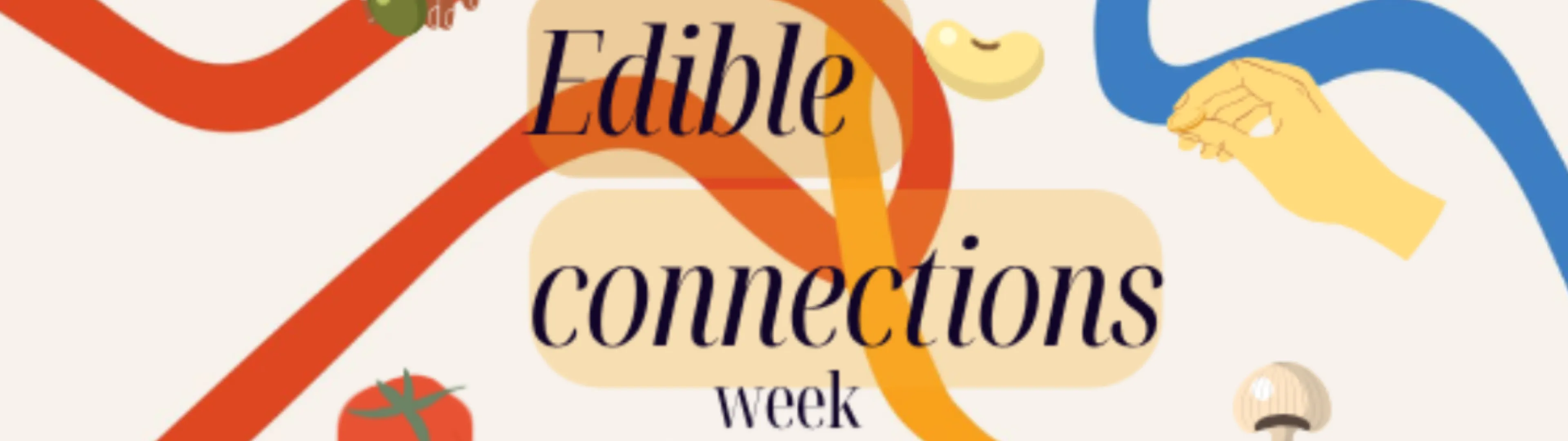 Edible connections